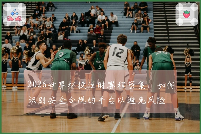 2026世界杯投注时赛程密集，如何识别安全合规的平台以避免风险