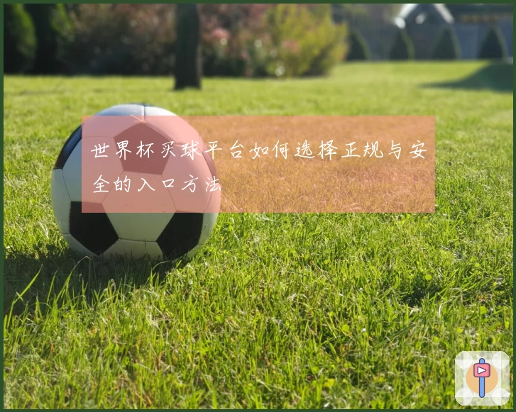 世界杯买球平台如何选择正规与安全的入口方法